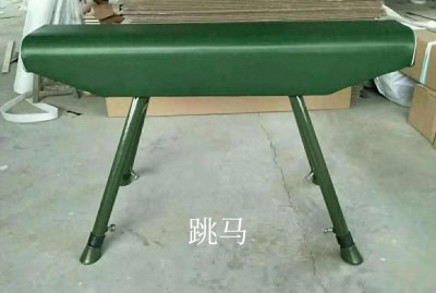 ​「体育大观」之体操(四)跳马
