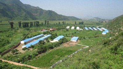 ​“北京黑猪回归北京”项目正式启动