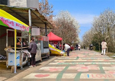 ​正式开园！清镇市红枫湖镇全力做好“樱花季”期间服务保障工作