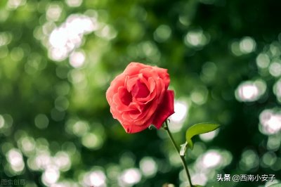 ​喜欢你的人，才有这些表现，别不信