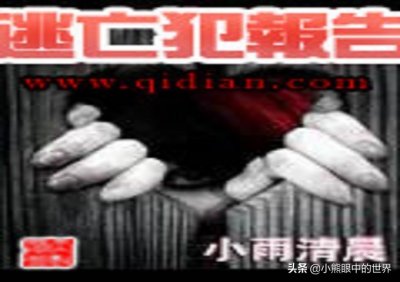 ​逃亡犯报告：真正的“有生之年”系列，是少数未完本而封神的经典