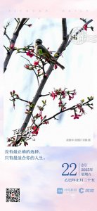 ​一帧中国丨春色都将付海棠（2025年2月22日）