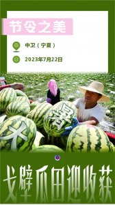 ​（图表·海报）［节令之美·大暑］节令之美——大暑（7）