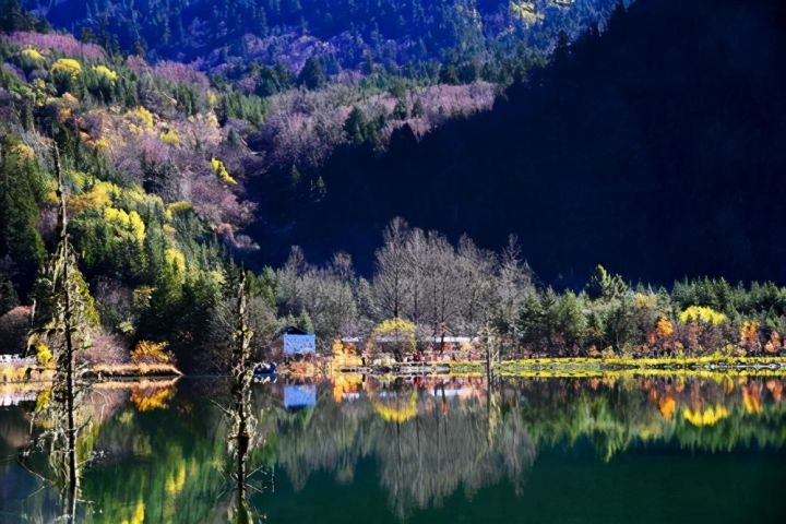 四川的名人（一文详聊四川省的5大名人们）