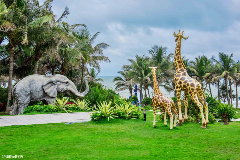 鼎龙湾在哪里(鼎龙湾属于哪个市)