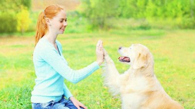 ​忠诚的狗狗，一生中认可几个主人？