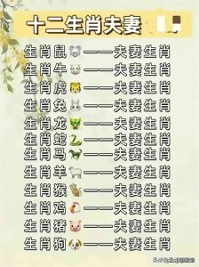​终于有人把“十二生肖夫妻配对表”，整理清楚了，收藏起来看看吧