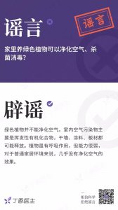 ​家里养绿色植物可以净化空气、杀菌消毒？ | 每日辟谣
